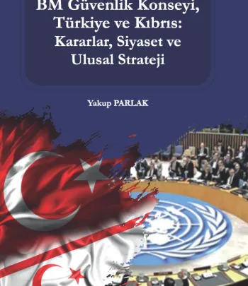 BM Güvenlik Konseyi, Türkiye ve Kıbrıs: Kararlar, Siyaset ve Ulusal Strateji 