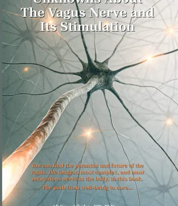 Unknowns About The Vagus Nerve and Its Stimulation Unknowns About The Vagus Nerve and Its Stimulation