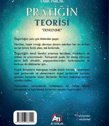 Pratiğin Teorisi &quot; Dene(n)me &quot;