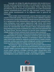 Küçük Konutlarda İç Mimari Yaklaşımlar